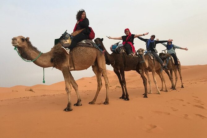 Private 4 Days Tour From Marrakech To Fes Via Erg Chebbi Desert - Transportation Comfort, Guides, and Real-World Flexibility