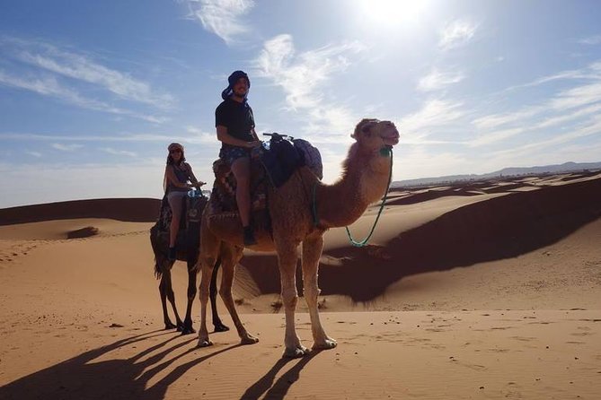 Private 4 Days Tour From Marrakech To Fes Via Erg Chebbi Desert - Day 2: Todra Gorges Walk, Rissani Market, and Into Merzouga