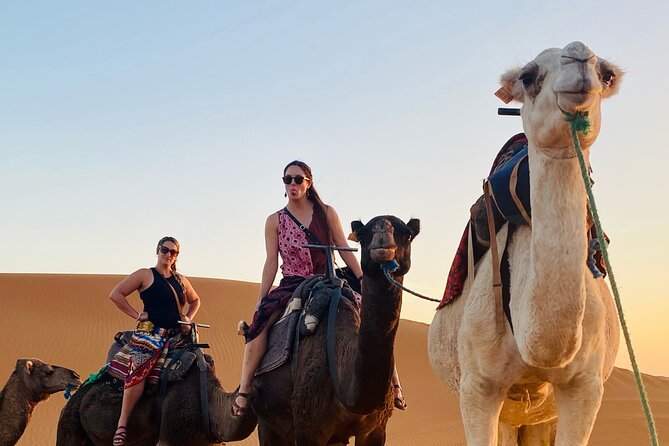 Private 4 Days Tour From Marrakech to Fes Via Merzouga Desert - Day 4: Ziz Valley to Azrou cedars and Ifrane before Fes