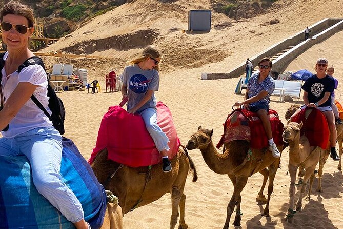 Private 4-Hour Tangier Tour - Achakar Beach camels: the fun stop you’ll remember