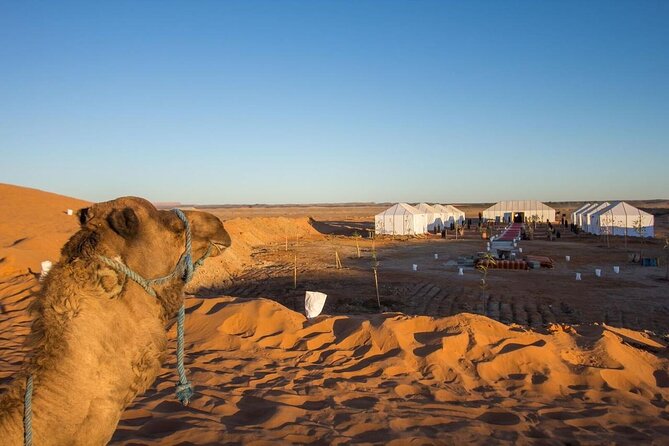 Private 5-Day Desert Tour from Casablanca to Sahara and Marrakech - Entering Morocco’s Big-Start Energy: Casablanca, Rabat, Meknes, and Volubilis (Day 1)