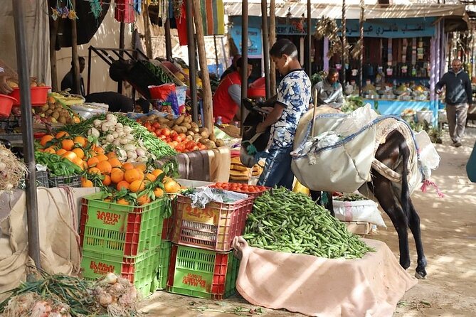 Private 8 Days Morocco Tour From Marrakech with Sahara Desert - High Atlas crossing: Tizi n’Tichka and Berber village country