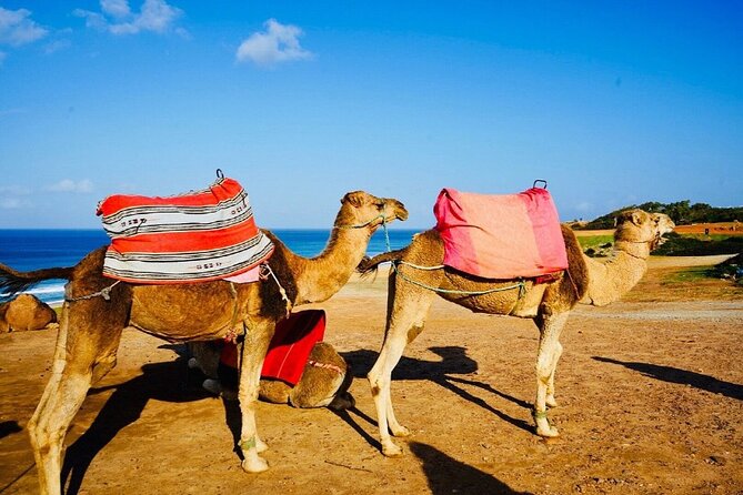 Private Above and Beyond Tour in Tangier - Youssef Sedraoui Day Tours: what makes the day feel personal