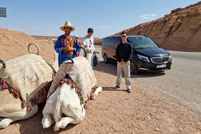Private Ait Ben Haddou Tour with Road of the Kasbahs from Marrakech - The desert fantasy option: camel ride and when to do it