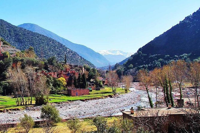 Private Atlas mountains and berber village full day trip - Camel Ride Option: Fun If You Want It, Extra If You Don’t