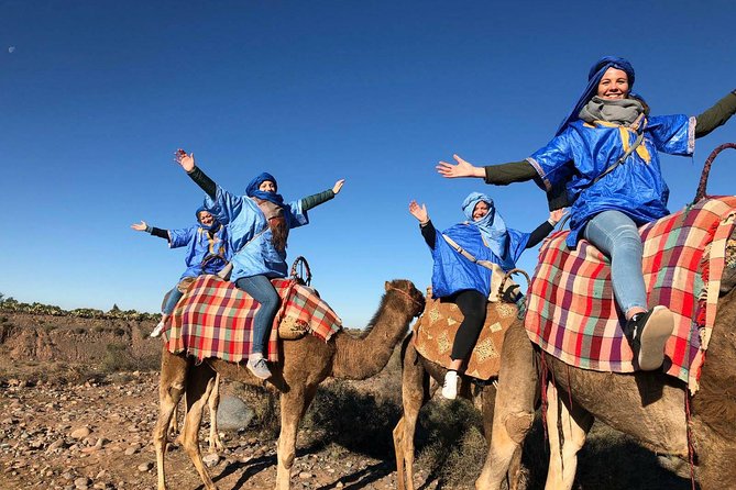 Private Atlas Mountains & Berber villages day trip - Argan co-op stop: where the first tea tastes like a lesson
