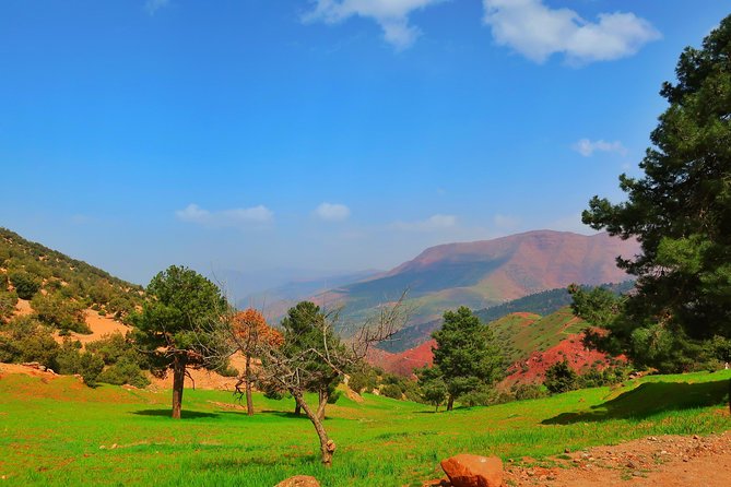Private Atlas Mountains Day Trip - Price and Value: Why $87.24 Can Still Feel Like a Deal