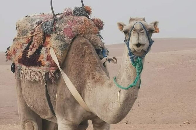 Private Camel Ride in Agafay Desert with Dinner Included - Key highlights worth booking