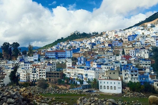 Private Chefchaouen Day Trip From Fez - Kasbah and the historical core: what you can expect without a local guide
