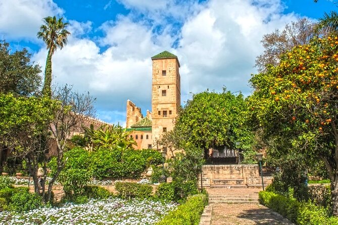 Private Cultural Walking Tour of Rabat with Licensed Tour Guide - Value For $59.23: What 3–4 Hours Buys You