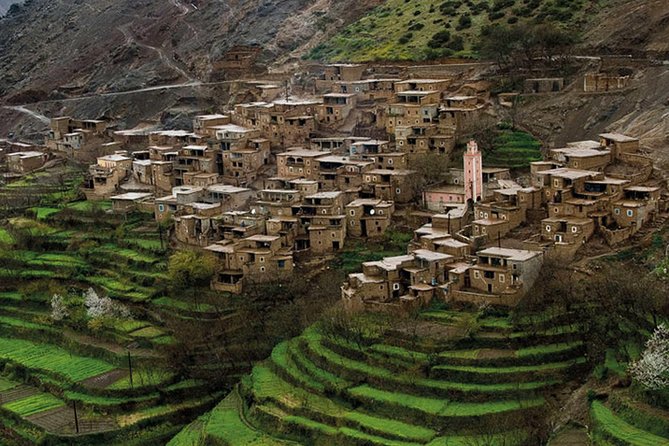 Private Day Atlas Mountains Waterfalls Ourika Berber villages - Key highlights you’ll care about
