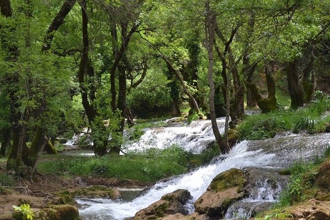 Private Day Tour from Fez to the Middle Atlas - A private Fez plan for Middle Atlas mountains (without white-knuckle driving)