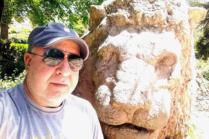 Private Day Tour from Fez to the Middle Atlas - The Azrou Cedar Forest and Barbary apes: the main event