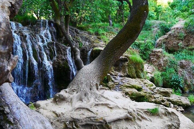 Private Day Tour from Fez to the Middle Atlas - Imouzzer Kandar: cedar shade and the waterfall loop
