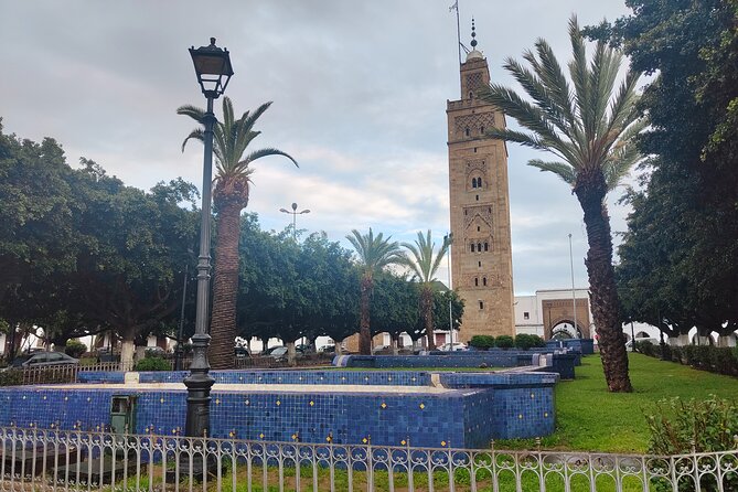 Private Day tour From Marrakech to Casablanca - Who This Tour Fits Best