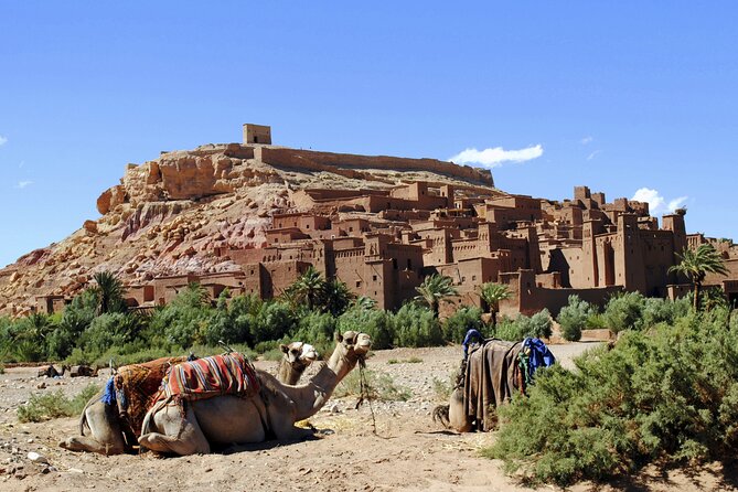 Private Day tour From Marrakech to Ouarzazate and Ait Ben Haddou - Marrakech to Ouarzazate: the Atlas drive you can actually enjoy