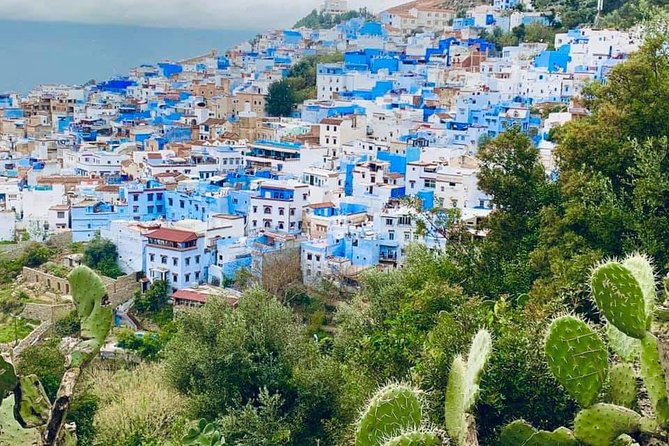 Private Day tour to Chefchaouen from Tangier - Ras el-Ma waterfall: the break from blue that adds variety
