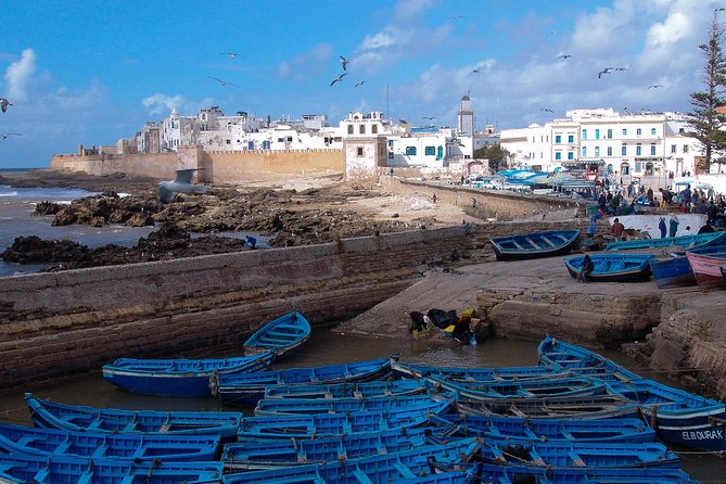 Private day tour to essaouira from Marrakech - Marrakech to Essaouira: why a private day trip works