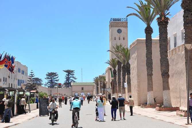 Private day tour to essaouira from Marrakech - Wandering the UNESCO medina: shops, art, and a calm walking pace