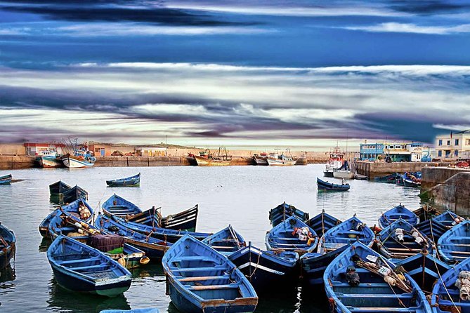 Private day tour to essaouira from Marrakech - Price and logistics: does $104.53 per person make sense