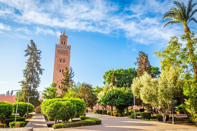 Private Day Tour To Marrakech - Choosing Your Vehicle: VIP Car, Luxury Minivan, or Minibus