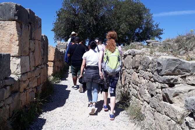 Private Day Tour to Meknes, Volubilis and Moulay Idriss from Fez - Timing, car time, and how to keep the day feeling human