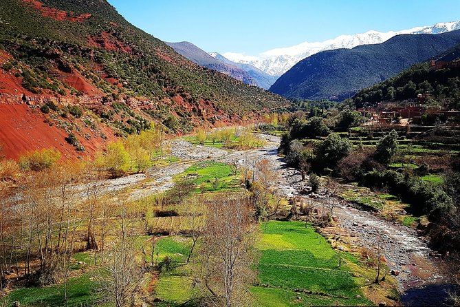 Private Day Tour to Ourika Valley including Guided Hike and Lunch from Marrakech - Setti Fatma Waterfalls: A Guided Hike You Can Actually Enjoy
