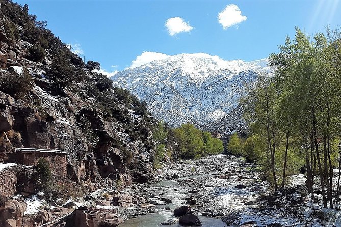 Private Day Tour to Ourika Valley including Guided Hike and Lunch from Marrakech - Transport, Guides, and Pacing: The Private Advantage