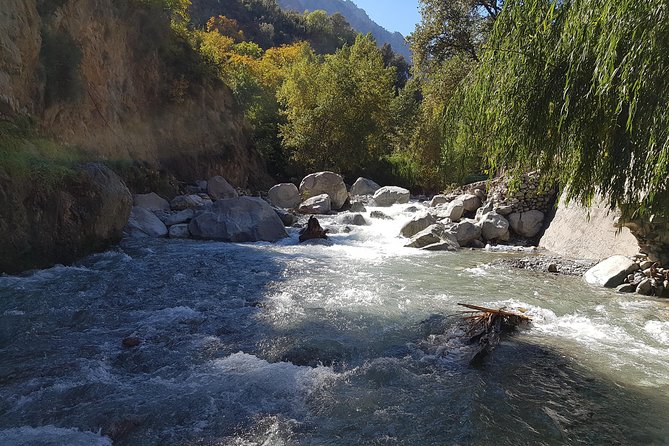 Private Day Tour to Ourika Valley including Guided Hike and Lunch from Marrakech - What Makes This Day Tour Worth the Time From Marrakech