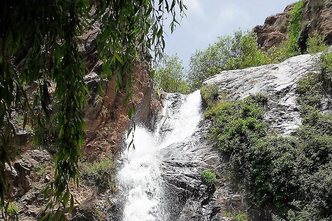 Private Day Tour to Ourika Valley including Guided Hike and Lunch from Marrakech - Argan Oil With Berber Women: The Stop That Adds Meaning