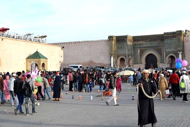 private Day trip from Fez to Volubilis and Meknes (without shopping) - Should You Book This Fez UNESCO Day Trip?