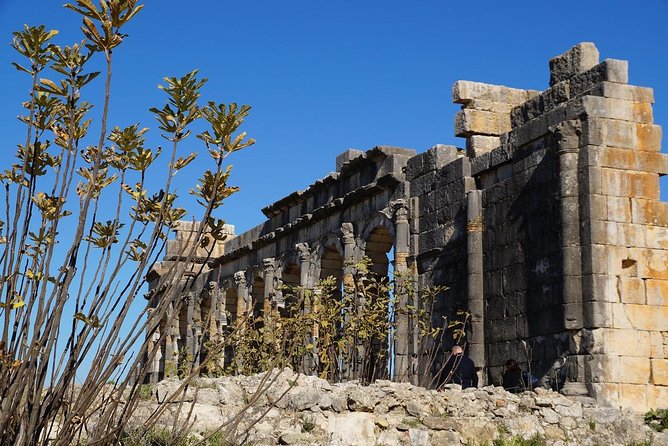 Private Day Trip From Fez To Volubilis and Meknes - Meknes medina: the change of pace after Fez