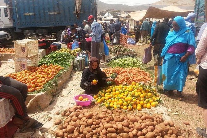 Private Day trip from Marrakech to Atlas Mountains - How private transport changes the whole day