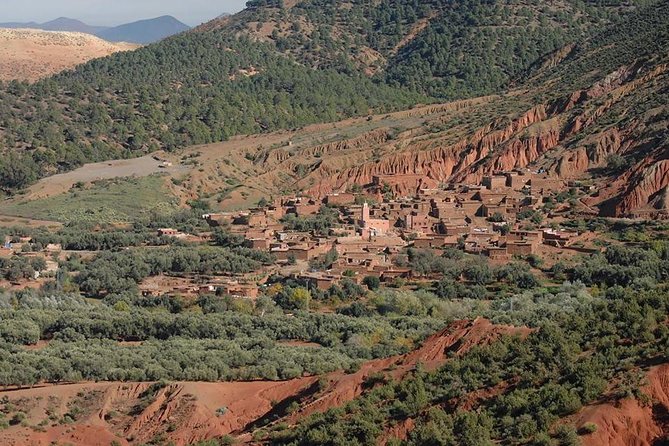 Private Day trip from Marrakech to Atlas Mountains - Guides and service quality: what to expect from the people running the day