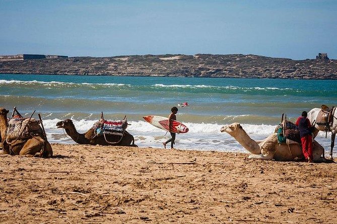 Private Day Trip From Marrakech To Essaouira - The road to Essaouira: scenic stops and a panoramic entrance