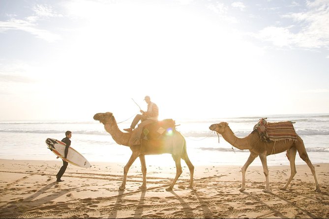 Private Day Trip from Marrakech to Essaouira City - Shopping and bargaining: what your guide can do for you