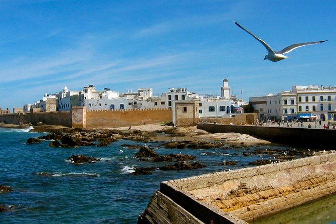Private Day trip from Marrakech to Essaouira mogador - A Private Ride to Mogador: 8–10 Hours That Don’t Feel Rushed