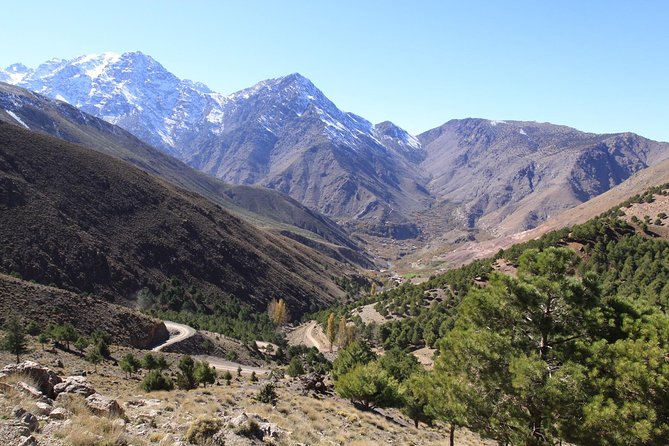 Private day trip from Marrakech to Ourika valley - A High Atlas Day Trip That Feels Straightforward