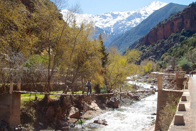Private Day Trip From Marrakech To Ourika Valley Waterfalls in (All inclusive) - The Malika stop: tea ceremony breakfast you’ll remember