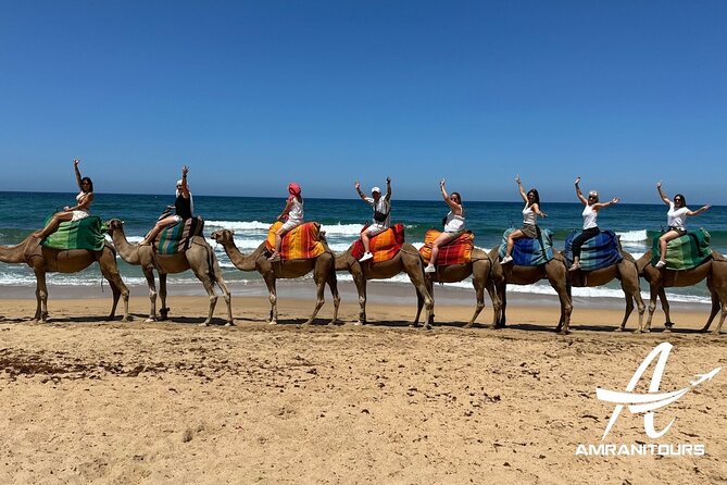 Private Day Trip from Seville to Tangier All Inclusive - Key things that make this day trip worth it