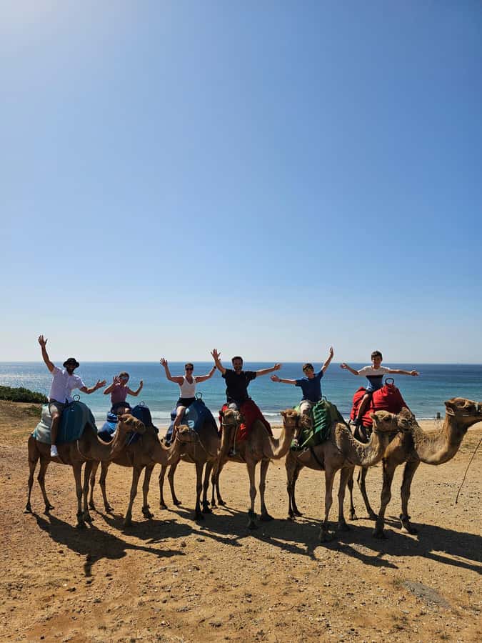 Private Day Trip: Gibraltar & (Tangier) Morocco from Seville - Key things I’d plan around