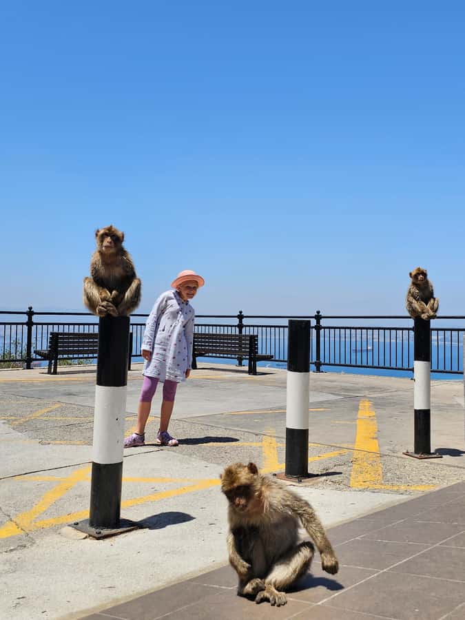 Private Day Trip: Gibraltar & (Tangier) Morocco from Seville - Price and value: is $884 per person fair for what you get?