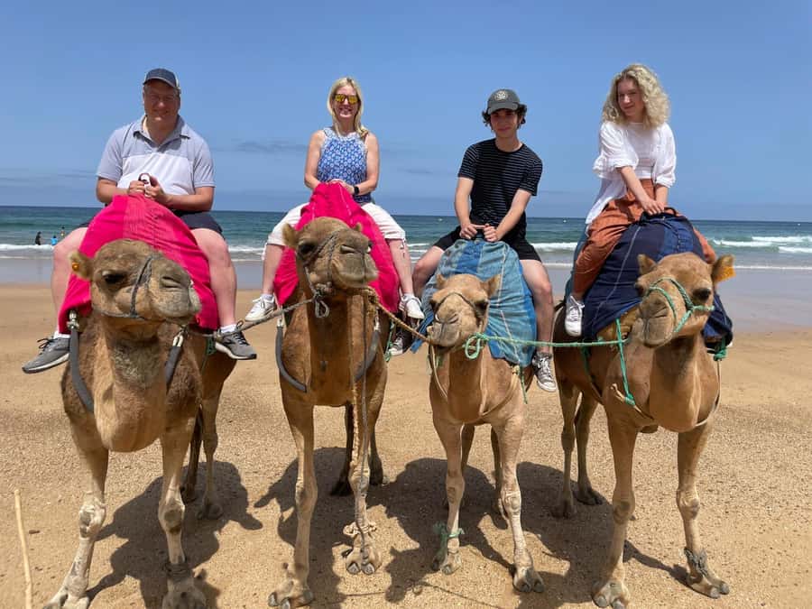 Private Day Trip: Gibraltar & (Tangier) Morocco from Seville - Who this private Gibraltar and Tangier day trip is best for