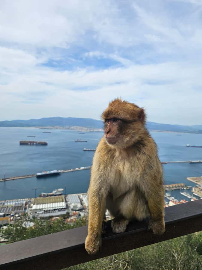 Private Day Trip: Gibraltar & (Tangier) Morocco from Seville - The Seville departure and the drive that sets your pace