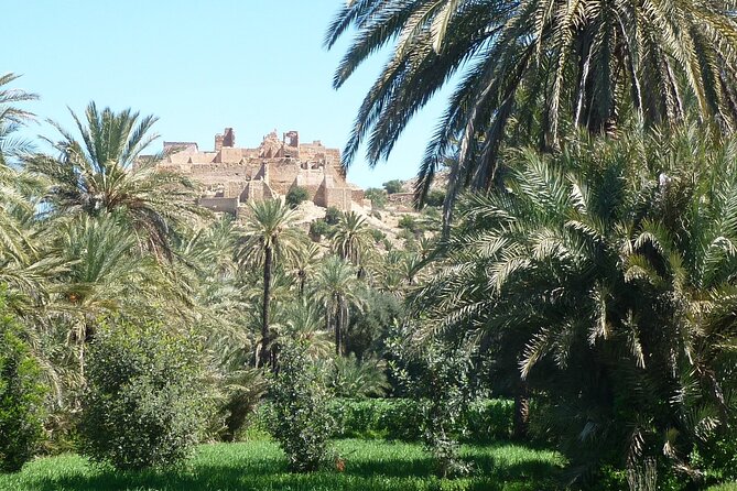 Private Day Trip of Taroudant & Tiout from Agadir - How the day runs from Agadir to Taroudant (and why timing matters)