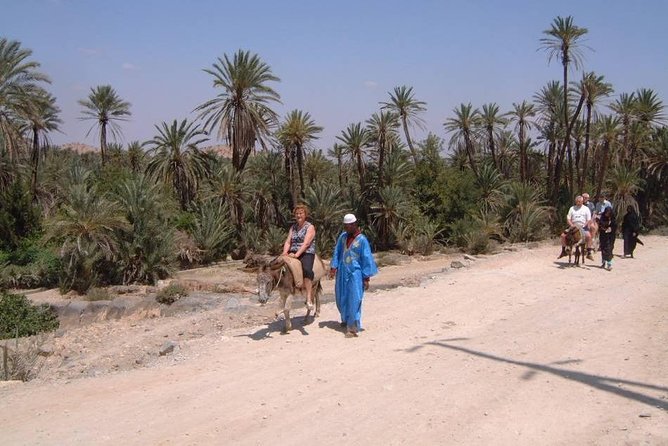 Private Day Trip of Taroudant & Tiout from Agadir - Lunch and what you should bring so the day feels easy