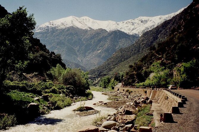 Private Day Trip to Atlas Mountains - Who this private Atlas trip is best for