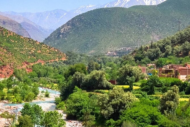 Private Day Trip to Atlas Mountains - Setti Fatma: the seven waterfalls walk (and why early matters)