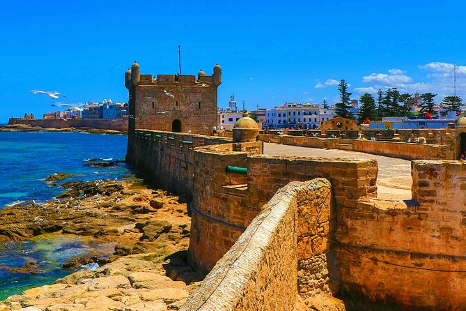 Private Day Trip to Essaouira and Argan Forest from Marrakech - Marrakech to Essaouira by private minivan: getting there without the hassle