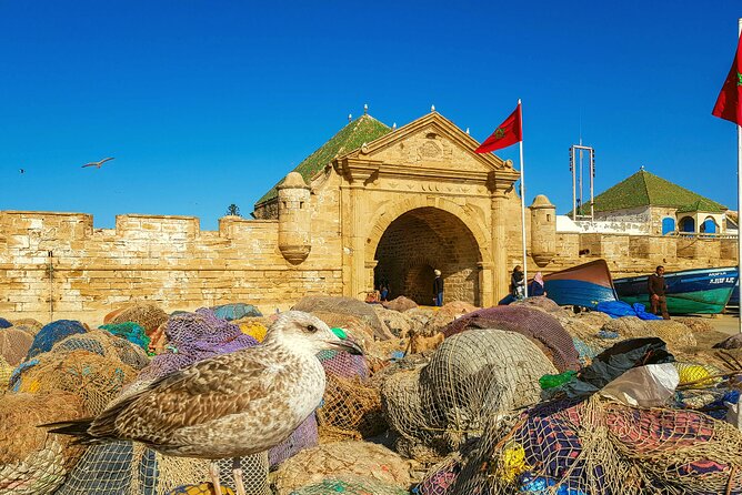 Private Day Trip to Essaouira and Argan Forest from Marrakech - Essaouira first look: harbor views, the Juife area, and Portugal in the background
